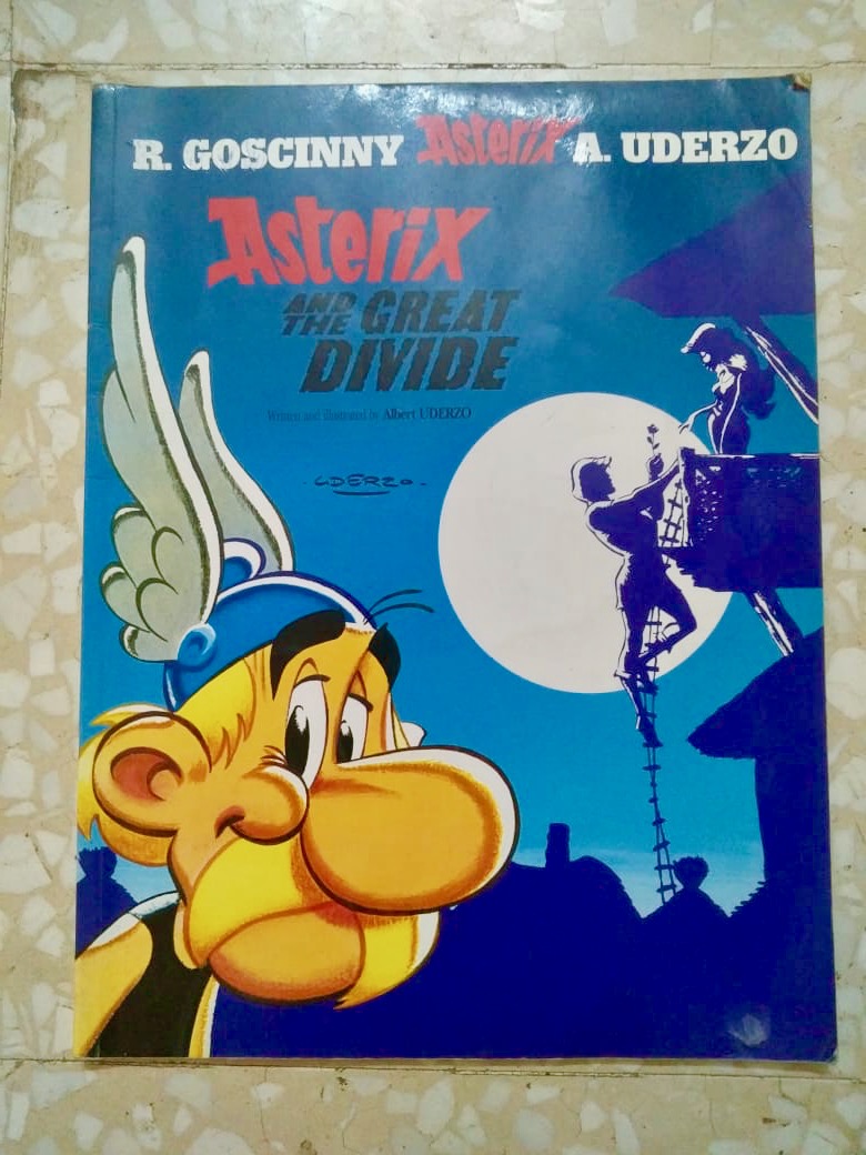 Asterix : The Great Divide