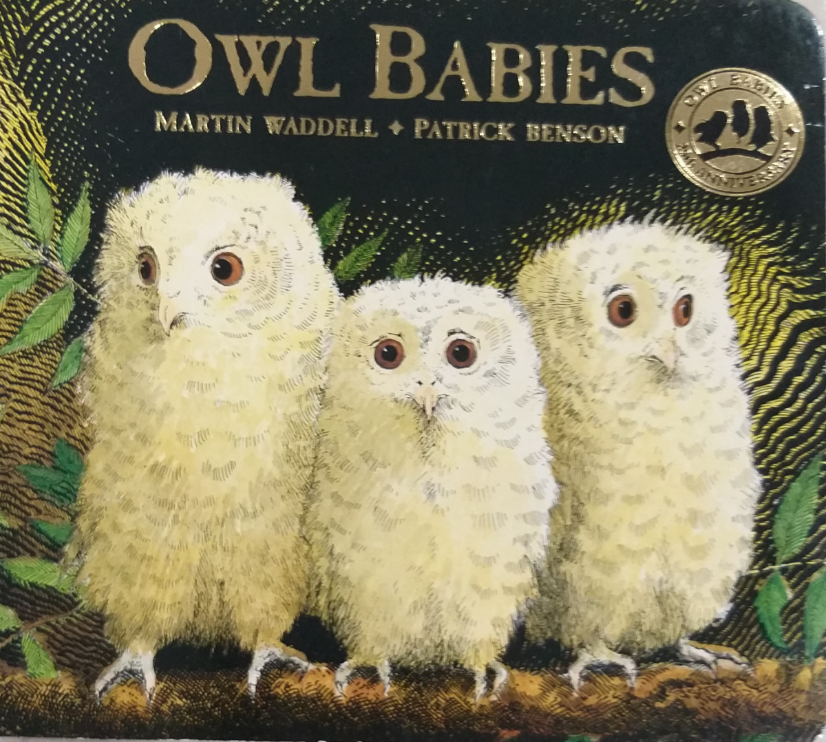 Review: Owl Babies