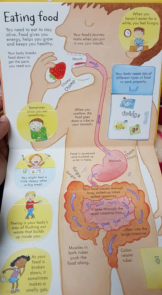 25 Books that will help your child understand the Human Body inside out! (0-9 years)