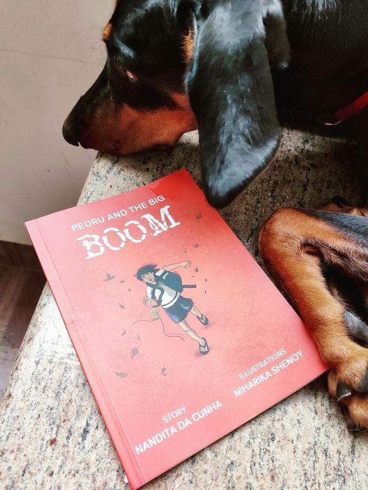 Review: Pedru And The Big Boom