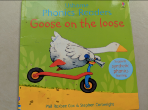 Review: Goose on the Loose