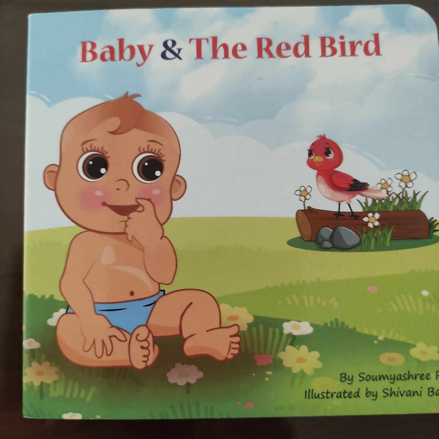 Review: Baby & The Red Bird