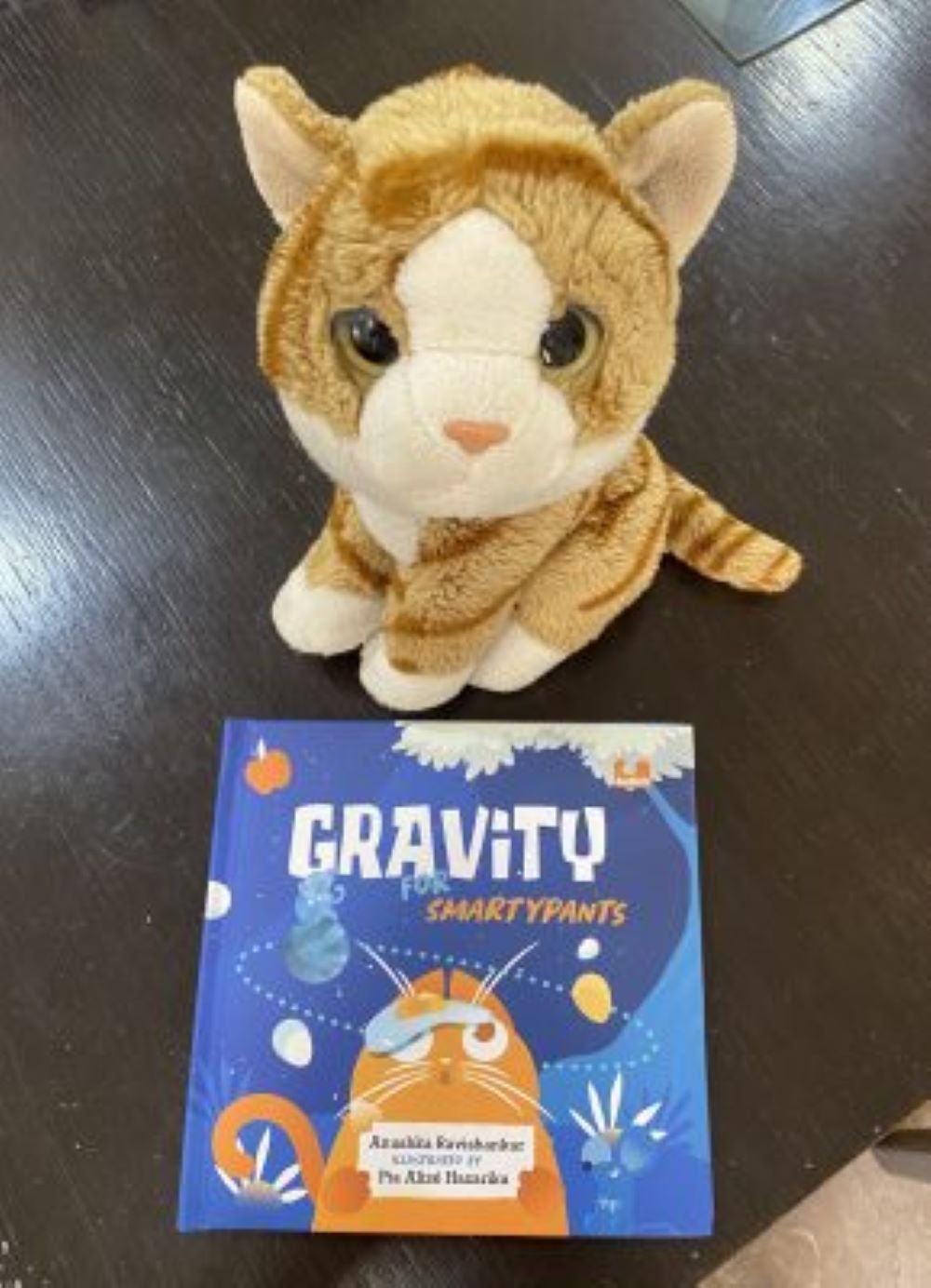 Gravity Is No Longer A Mystery, Smartypants! [Review]