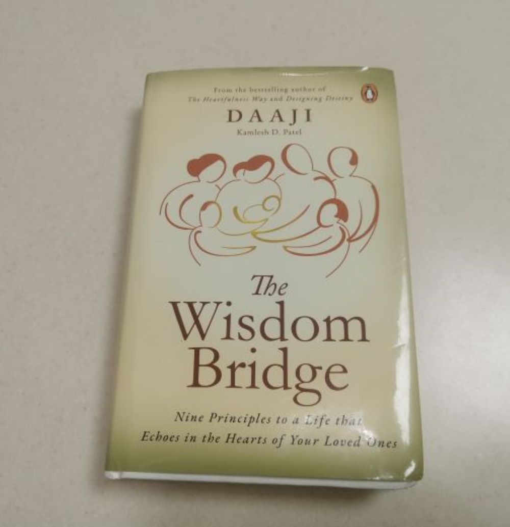 Review: The Wisdom Bridge