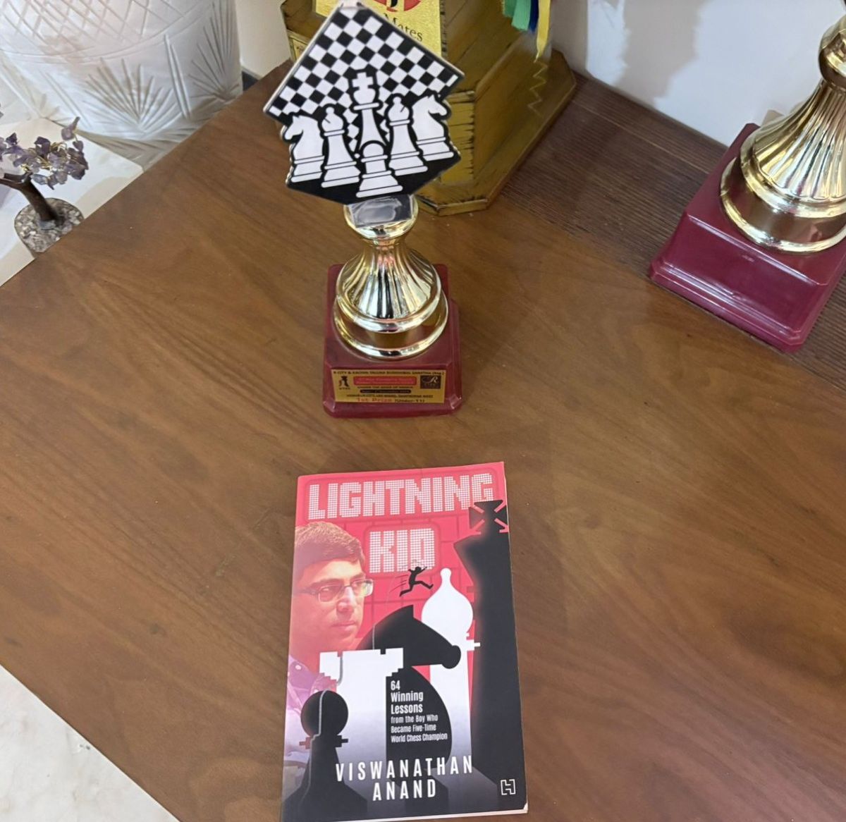 LIGHTNING KID – A book for everyone who loves Chess! [Review]