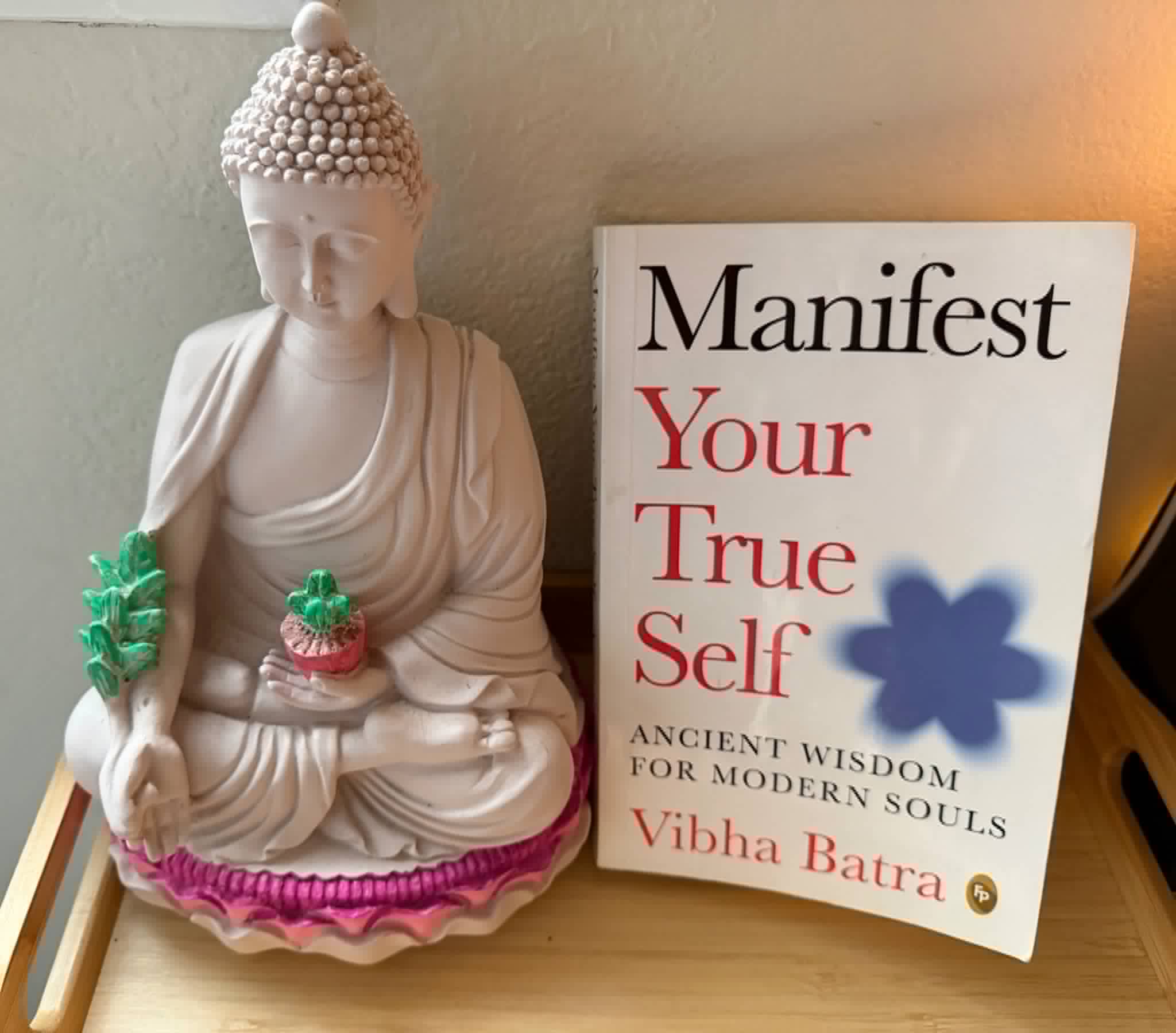 Manifest Your True Self – When Life Gets Choppy, This Book Becomes Your Harbour [Review]