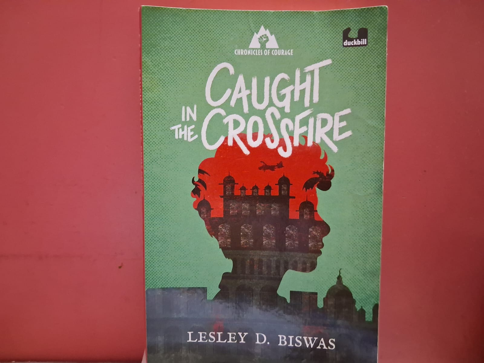 Review: Caught in the Crossfire